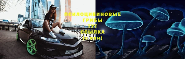 метадон Няндома