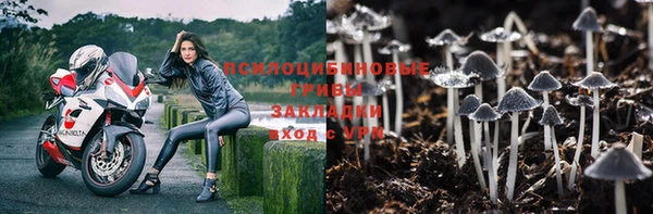 метадон Няндома